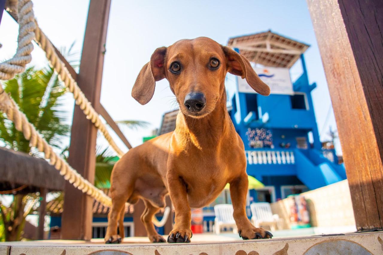 Pousada Agua Marinha-Familias & Pets Angra dos Reis Ngoại thất bức ảnh